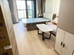 深圳龙岗大运地铁16号线黄阁坑站带阳台一房一厅押一付一拎包入住随时看出租房源真实图片