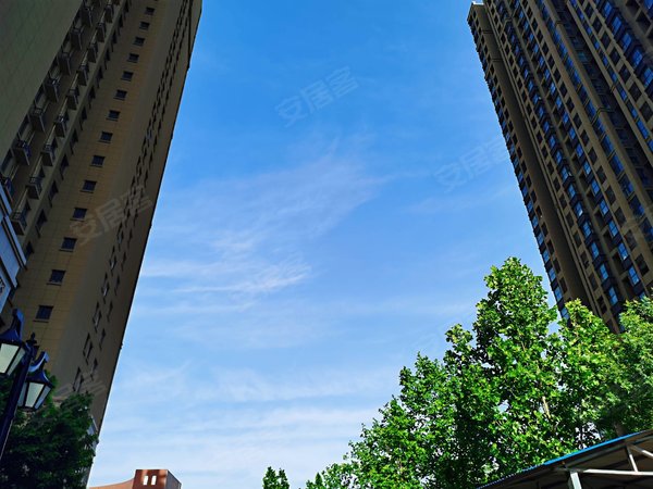 郑州高新区科学大道秦庄嘉园高新区公园茂 863旁,临地铁口 精装一室