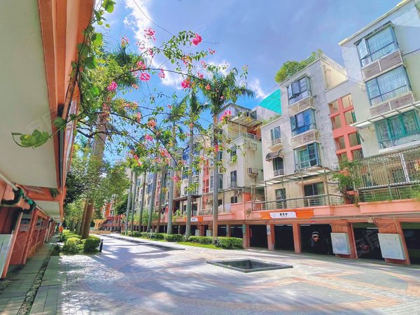 深圳龙岗坂田万科四季花城(北区)万科物业  中间安静位置  南北通透3