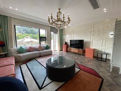 南宁青秀凤岭北凤岭北高端别墅区！简约清新风！适合自住接待 独立车库入户出租房源真实图片