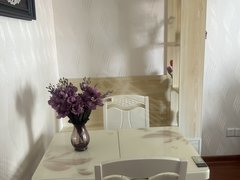 芜湖鸠江万春购物广场万春新苑雅苑 1室1厅1卫 电梯房 53平出租房源真实图片