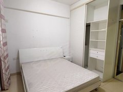 江山城区江山市区解放路同和电梯房单身公寓50方精装1300元出租房源真实图片