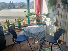 保山腾冲腾冲城区999月租房翡翠小区 1室1厅1卫 50平 豪华装修出租房源真实图片