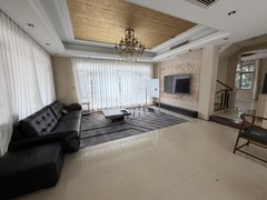 佛山南海大沥（碧桂园物业租售推荐）独立别墅出租 多房间 大空间出租房源真实图片