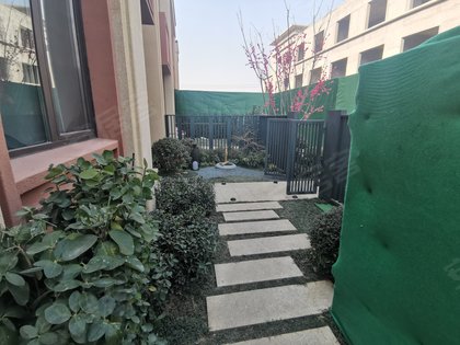 金地金泽九里风华别墅