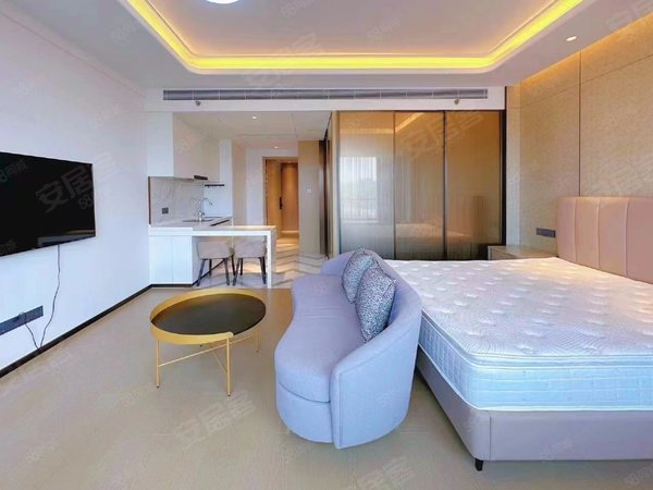 坂田租房,小区,龙岗坂田环城路岗头站十号线天安云谷,精装复式公寓