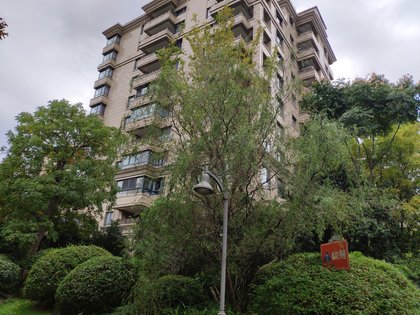 上海二手房 华府樟园 > 牛路凯解读华府樟园小区户型特色 【小区户型