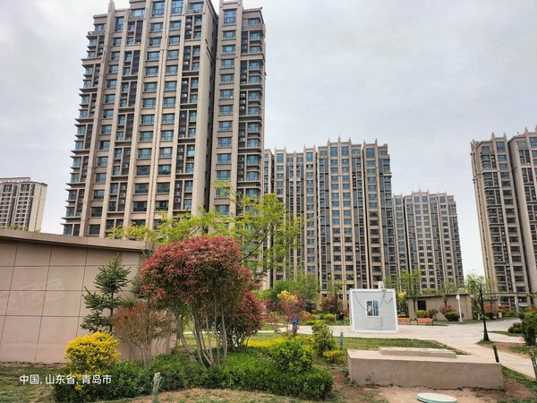 青岛城阳棘洪滩青岛碧桂园1500碧桂园精装修套三出租,配置齐全的直接