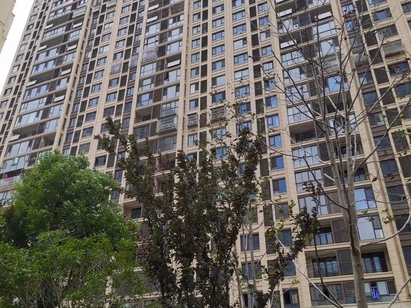 盐城东台东台城区吾悦和府南区吾悦广场附近,有独立卫出租,精装修,无中介费,交通便利出租房源真实图片
