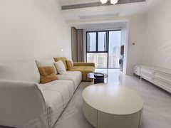 武汉洪山新南湖5号线张家湾 保利悦荟 天街 楚天雅苑 实图实价 押一付一！出租房源真实图片