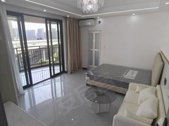 杭州临平星桥艺上小镇 免费停车 精装朝南一室一厅天燃气 圆弧大阳台出租房源真实图片