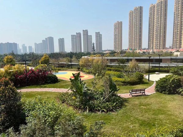 泉州晋江世茂御龙湾嘉豪御景嘉豪御景 精装 单身公寓 租1200 民用水电