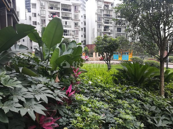 重庆渝北农业园区天高鸿苑正两房出租,出行方便出租房源真实图片