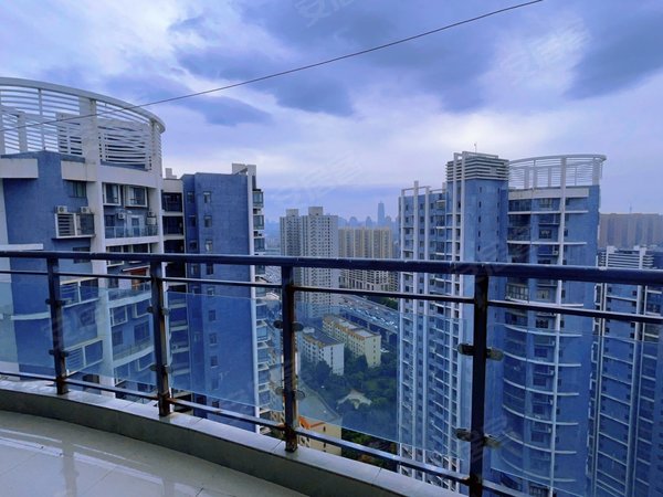 郑州金水农业路正弘旗苏荷中心 国信广场 名门国际 农业路东明路 正弘