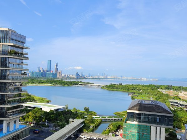深圳湾一号3房,装修保养好,一线海景,万象城商圈出租房源真实图片