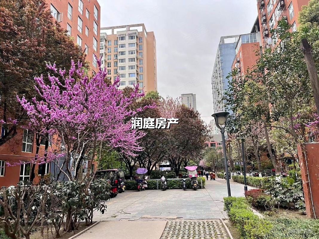 新兴骏景园一期