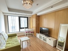 中山广场地铁站100米 正规一室一厅 高层精装修 给你舒适家