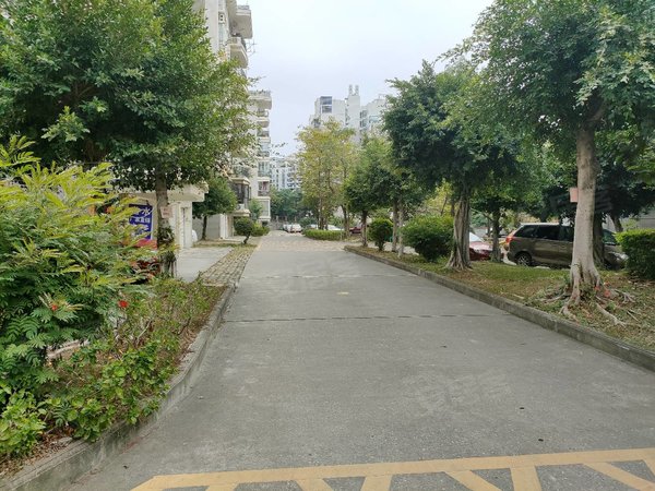 南宁青秀南湖广场东景花园急租 航洋后面 精装3房 干净整洁 领包入住