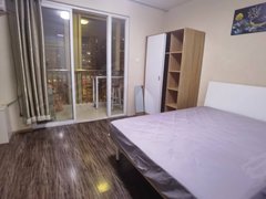 北京东城永定门14号线地铁景泰西里西区 精装大主卧阳台落地窗出租 随时看房出租房源真实图片