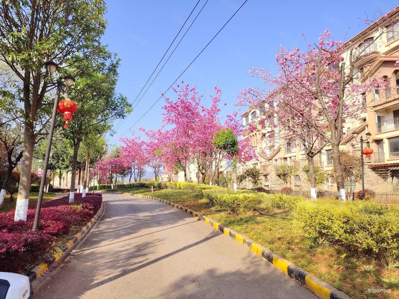 御景新城洋房三室两厅  满两年  证在手  43.5万!