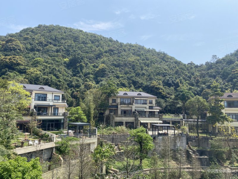 天麓双拼别墅出售带装修诚心售