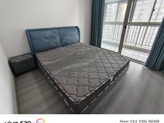 蚌埠蚌山华盛街二马路商业广场 百货大楼附近 精装修 拎包入住出租房源真实图片