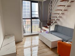 佛山南海大沥广佛智城 1室1厅1卫出租房源真实图片