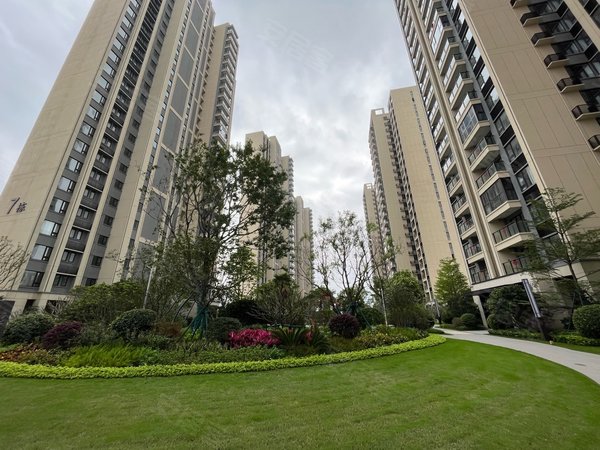 珠海斗门白藤头湖心金茂悦金茂悦新小区 全新三房未住过,全新家私家电