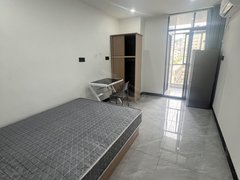 深圳龙岗龙岗中心城本月免租金近南联摩尔城精装一房一厅出租拎包入住押一付一出租房源真实图片