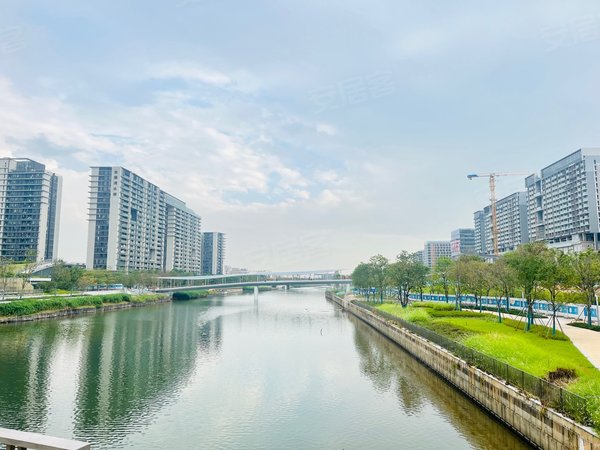 深圳宝安福永会展湾水岸广场11.