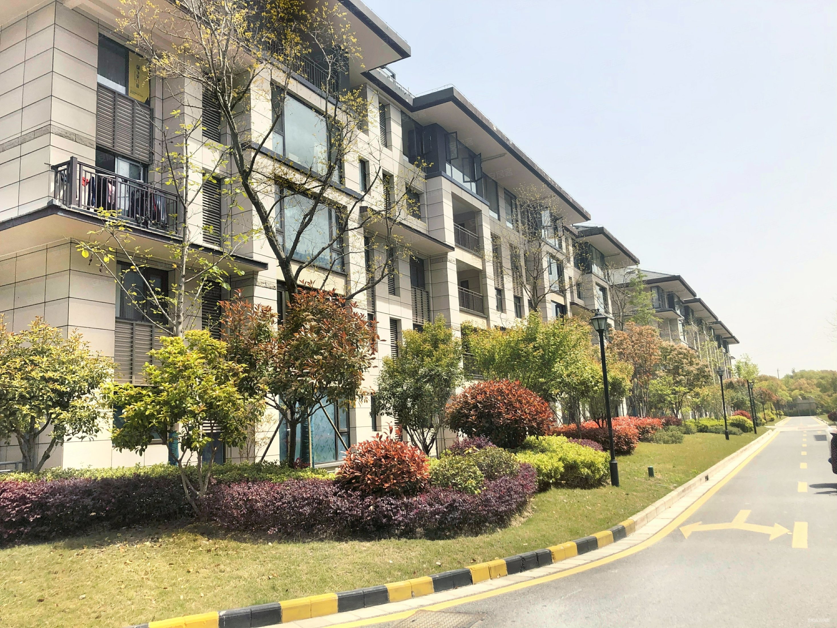 品质楼盘建滔裕园洋房复试总高5层全新毛坯中心位置