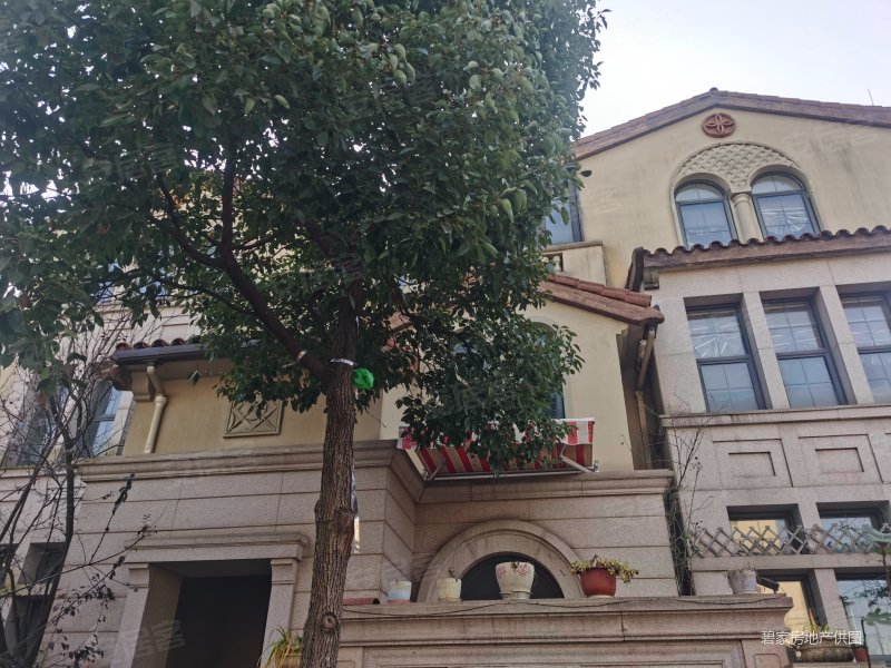 光谷东花山碧桂园生态城桃花源双拼别墅大花园230平米