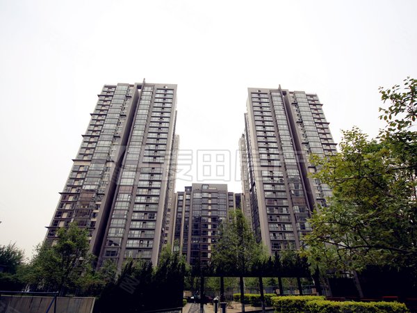 朝阳公园租房,4室2厅 博雅园 企业力荐诚意出租,朝阳租房-北京58安居