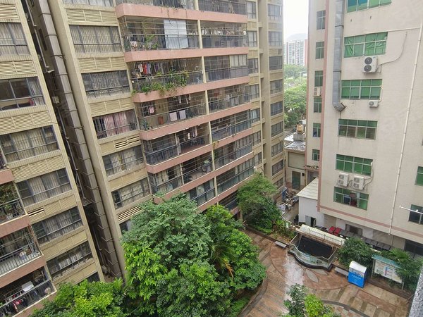 深圳宝安西乡雅居苑店长!