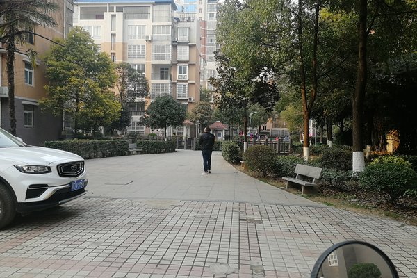 荆州小区 公安小区 公安县城区小区 凤凰花园