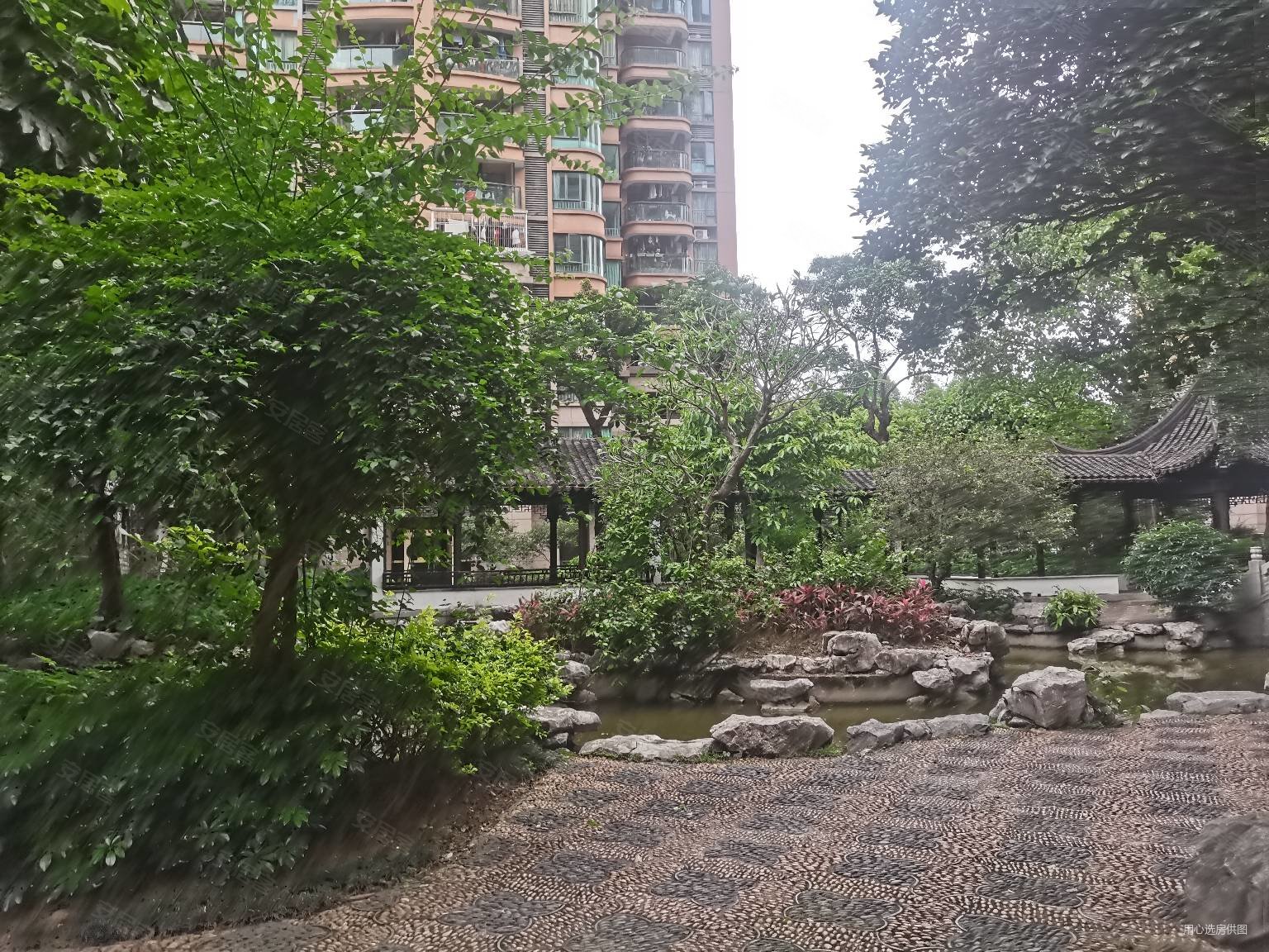 南海颐景园 南向业主急售 满五税少 装修保养好中层看