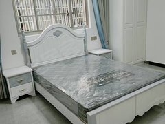 亳州利辛利辛城区七彩世界附近公寓房可压一付一 有无线网可用出租房源真实图片