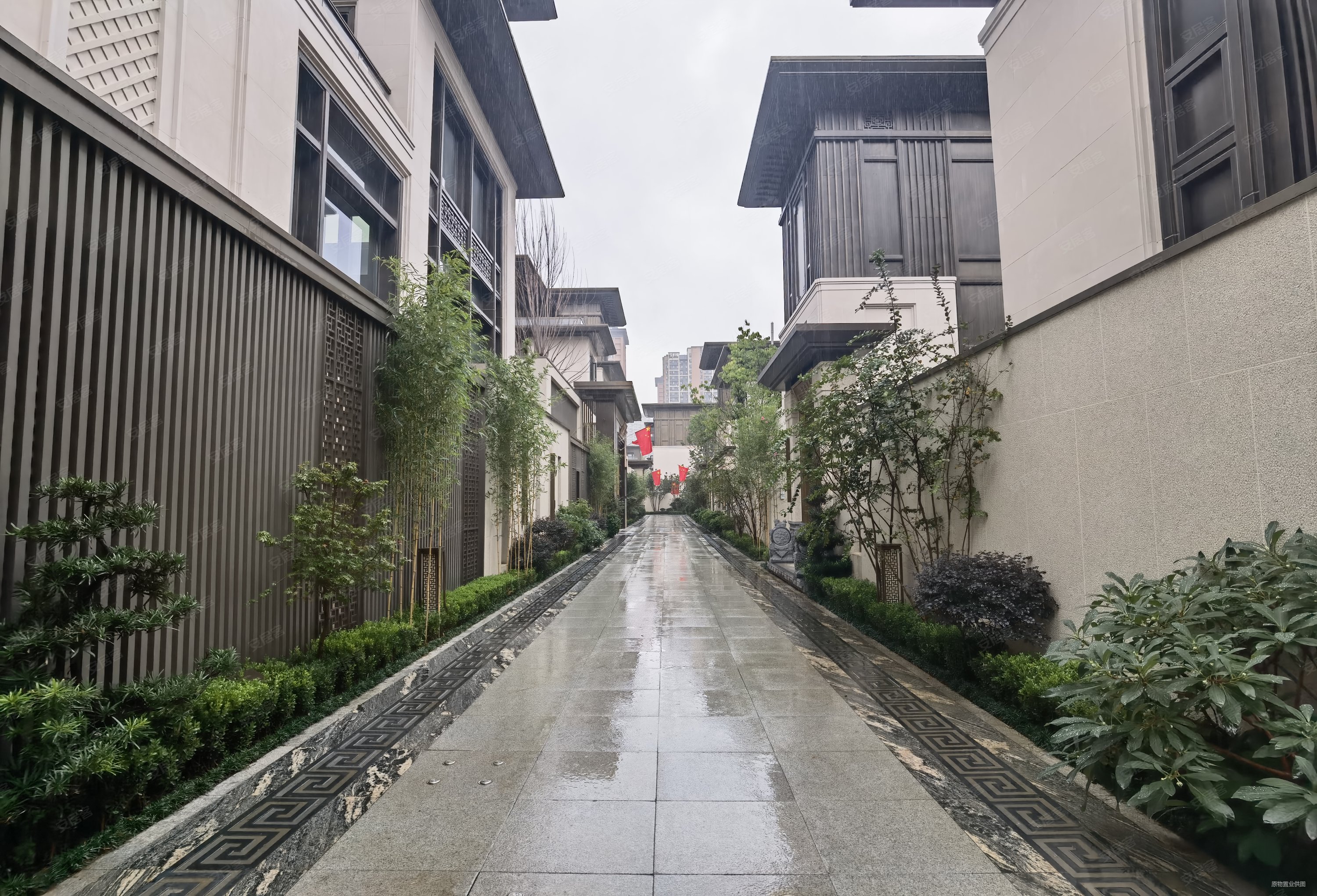 万达长安龙胤