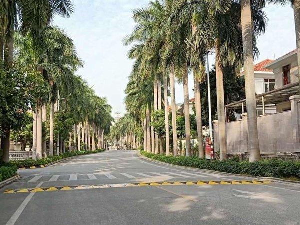 广州增城凤凰城碧桂园凤凰城凤湖苑凤凰城凤湖苑别墅 精装6房 可办公