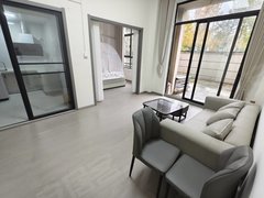 合肥高新客运西站安医附院 置地创新 海亮九台别墅带院子套内 软件园 汽车西站出租房源真实图片