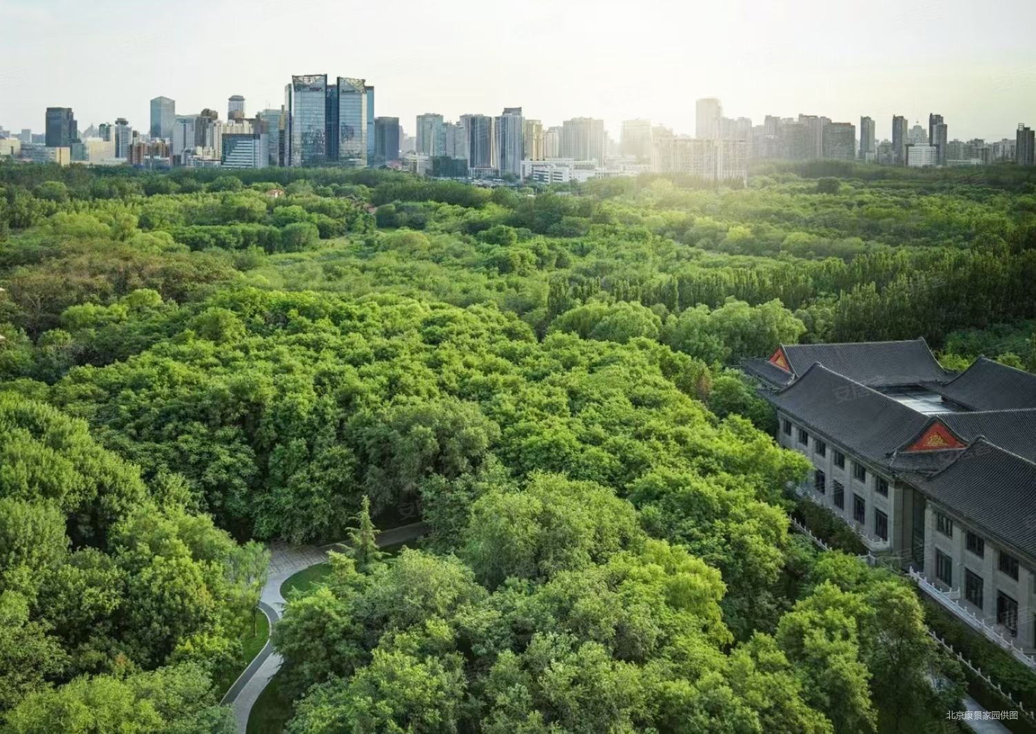 新出全新房高层没有住过哦开发商直售,合生霄云路8号二手房,5300万,4