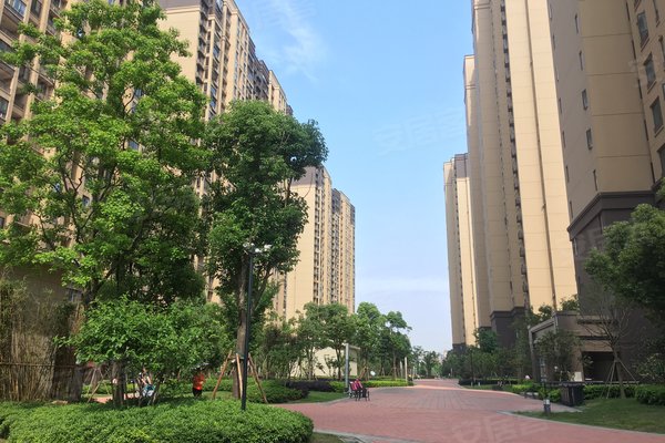 武汉二手房 万科紫悦湾 > 杜萌解读万科紫悦湾小区不足