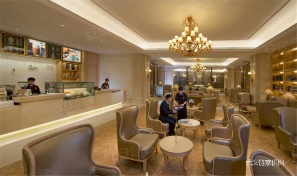 国企酒店维也纳 统一出租12年 前三年每平65元