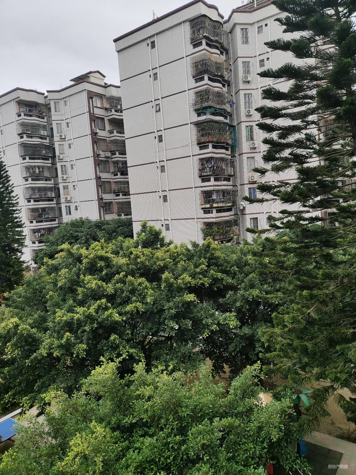 滨江花园(石碣)2室2厅1卫67.46㎡南北67万