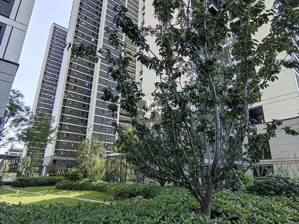 商丘梁园火车南站观澜壹号日月湖旁 观澜壹号 精装三室拎包入住 好楼层采光好随时看房出租房源真实图片