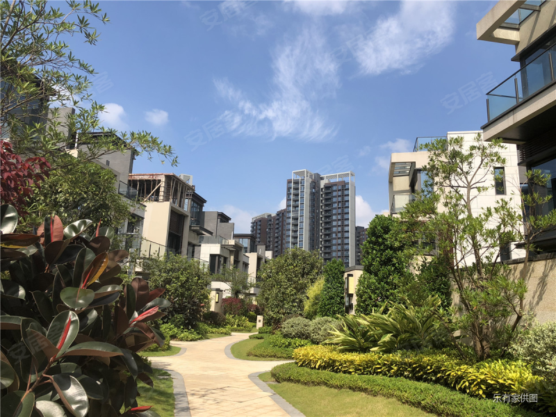 诚信出售,有超大花园,益田玫瑰府邸(大运城邦七期)二手房,2500万,6室5