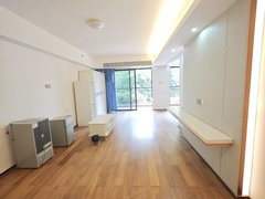 深圳大鹏新区大鹏大鹏中心kPR佳兆业公寓一房两厅一卫整租出租房源真实图片