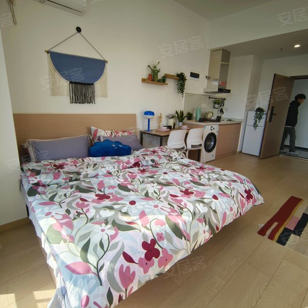 整租｜武昌火车站~双落地窗~街道口~理工大~马房山~适合情侣~独居