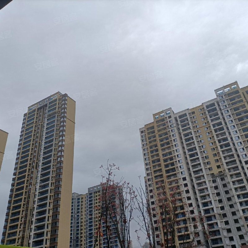 伊景园滨河苑小区详情,房价走势,房源,业主论坛】- 长沙58同城