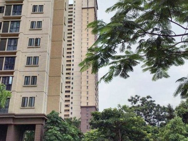 深圳坪山坑梓深业东城御园亚迪三村旁 拒绝虚假房源 深业御园精装三房